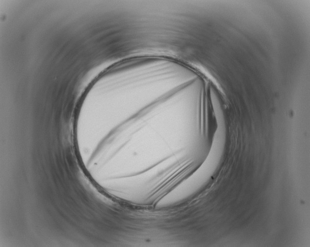 X0000082751468200702240026