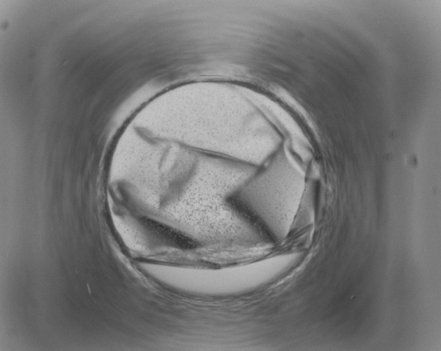 X0000082751469200702240026