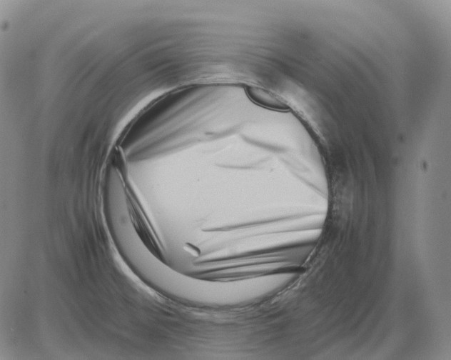 X0000082751476200702240026