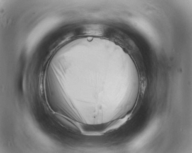 X0000082751487200702240026