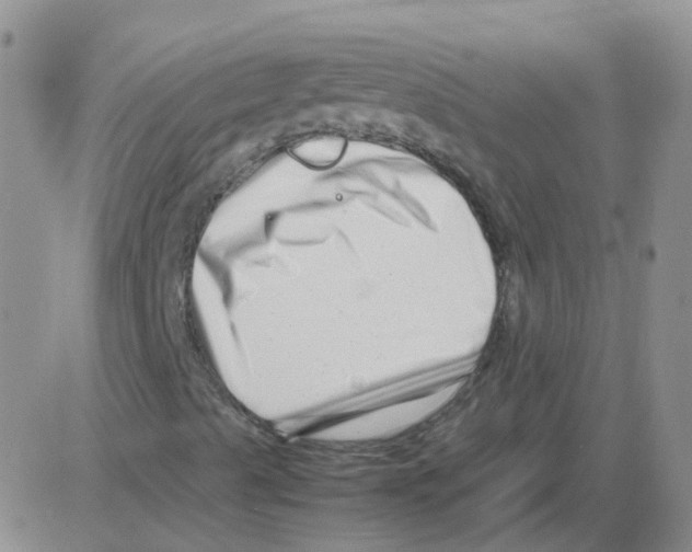 X0000082751489200702240025