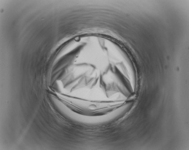 X0000082751505200702240025