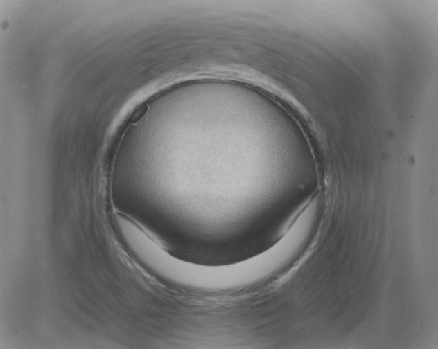 X0000082751506200702240025