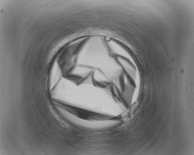 X0000082751507200702240025