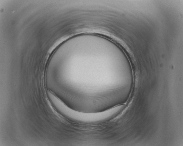 X0000082751513200702240025