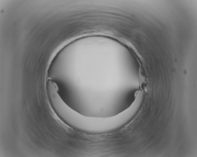 X0000082751516200702240025