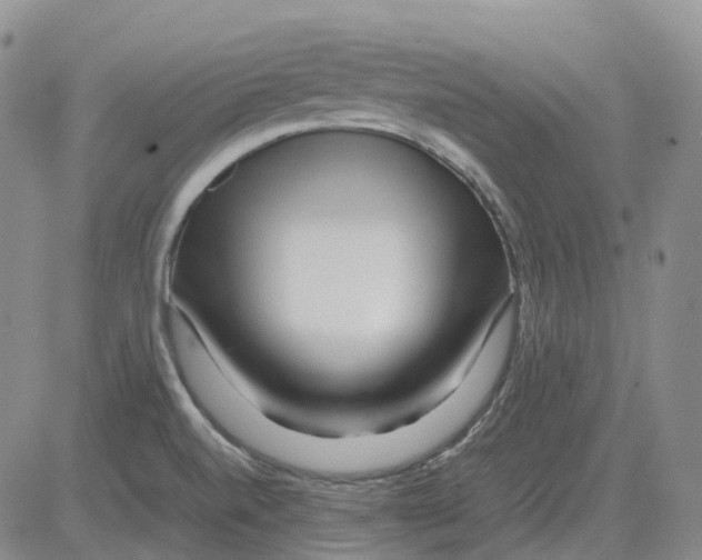 X0000082751520200702240025