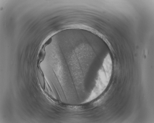 X0000082751529200702240025