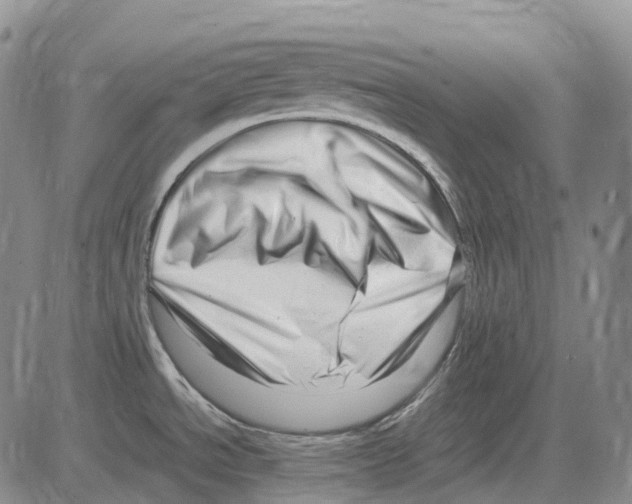 X0000082751534200702240026