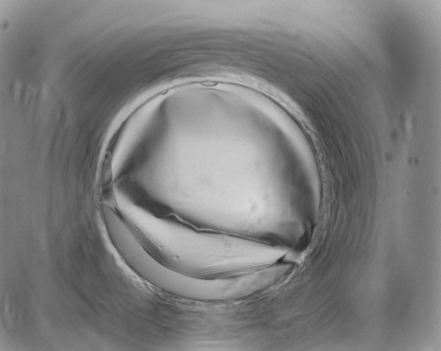 X0000082751536200702240026