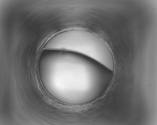 X0000082760001200701261137