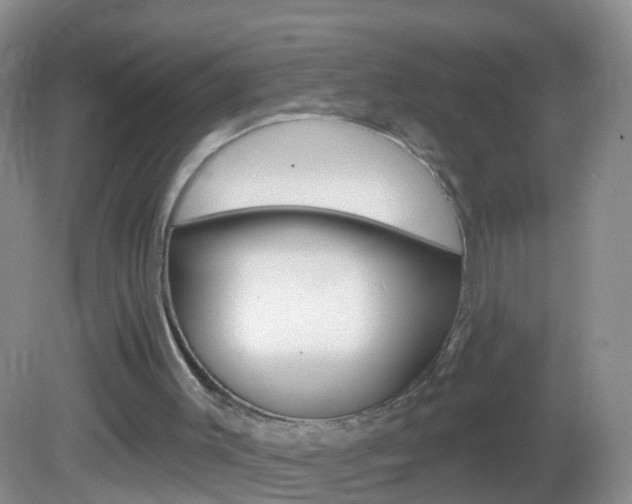 X0000082760003200701261137