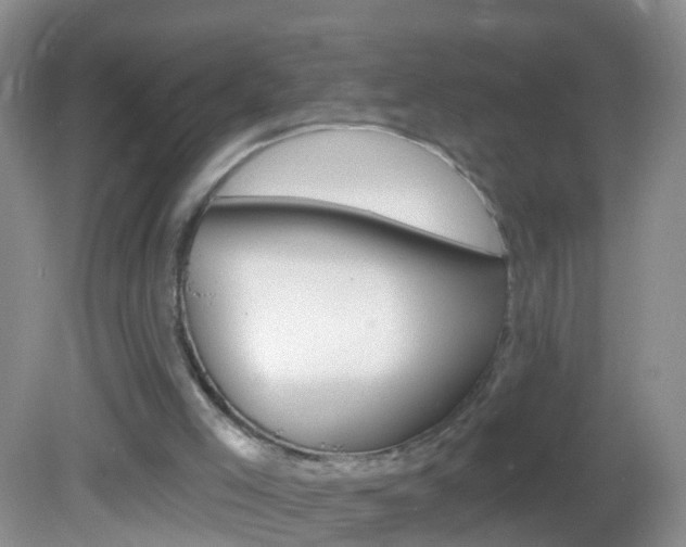 X0000082760005200701261137