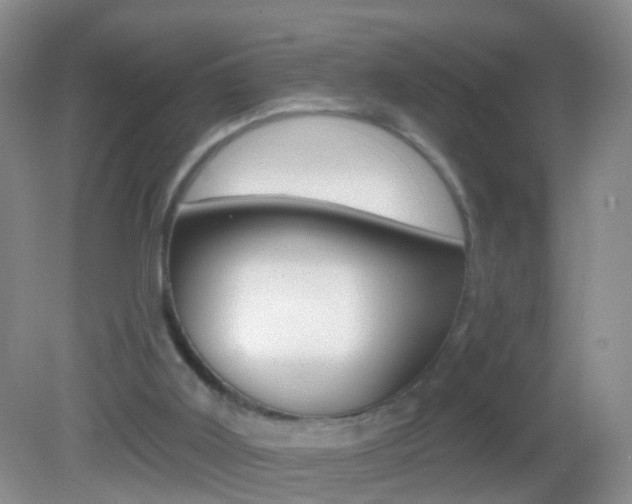X0000082760011200701261137