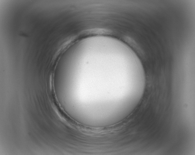 X0000082760014200701261137