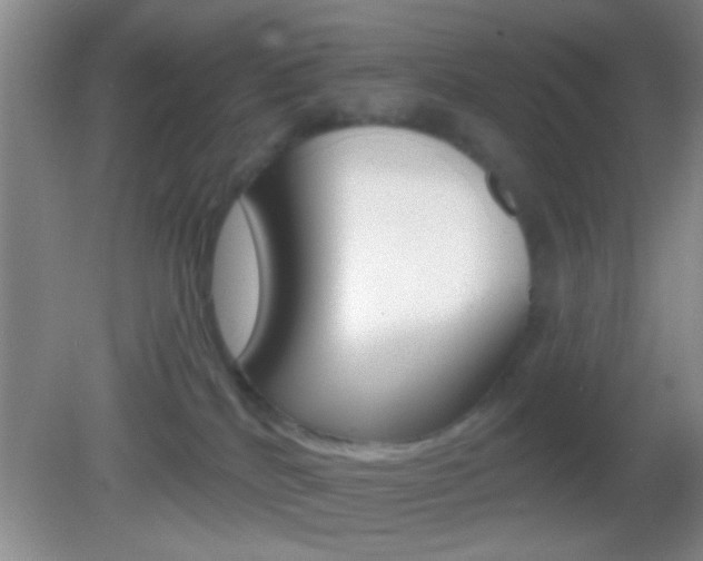X0000082760040200701261137