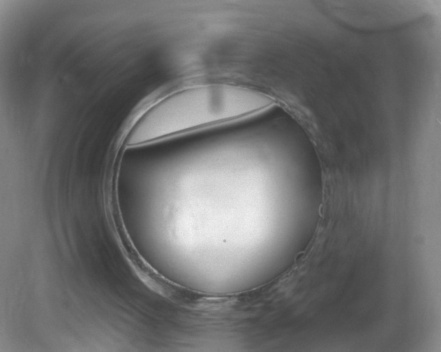 X0000082760051200701261136