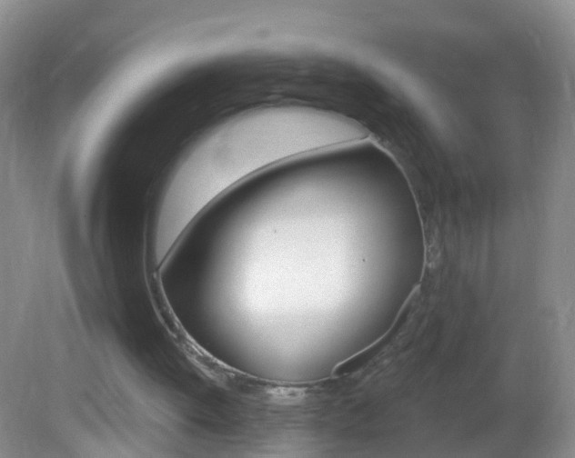 X0000082760052200701261136