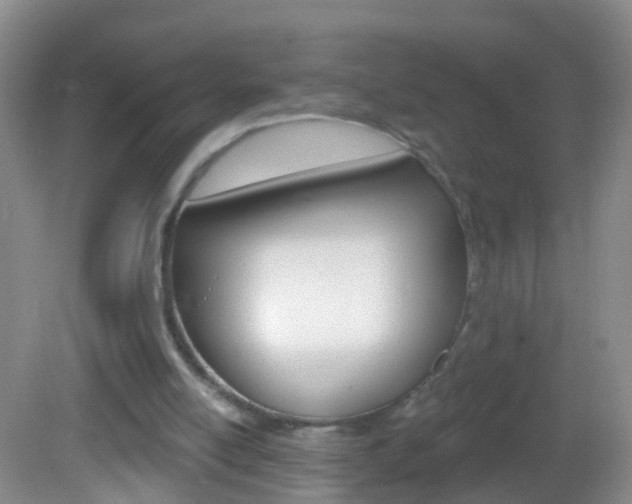 X0000082760054200701261136