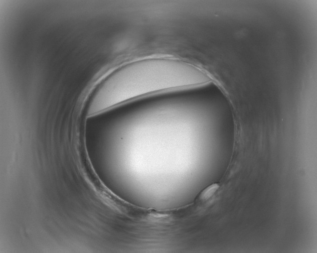 X0000082760055200701261136