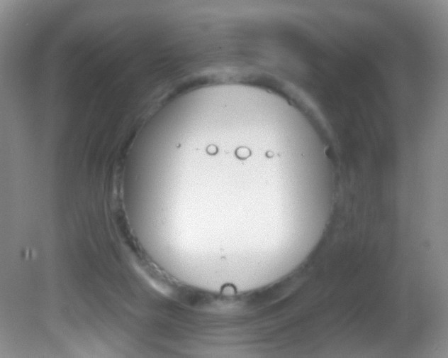X0000082760065200701261136