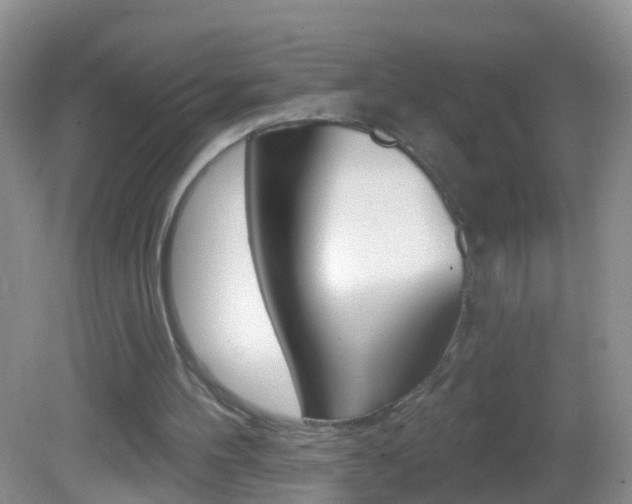 X0000082760100200701261136