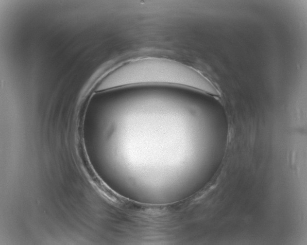 X0000082760101200701261136