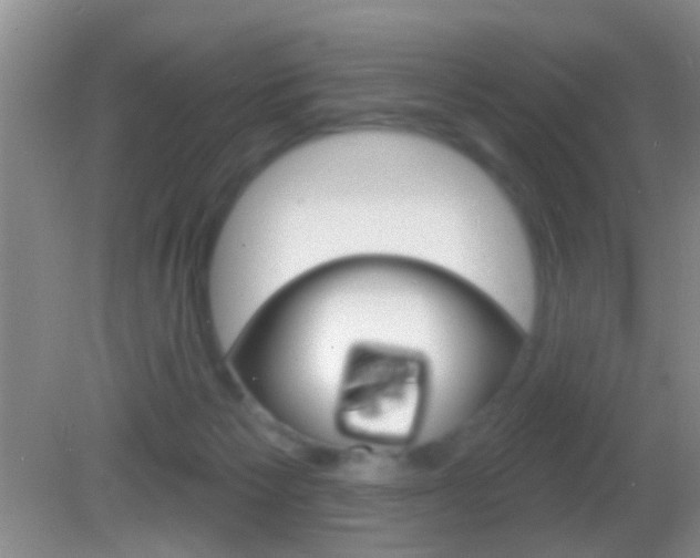X0000082760125200701261135