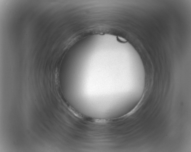 X0000082760144200701261135