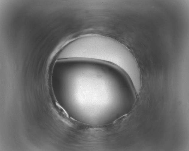 X0000082760150200701261134