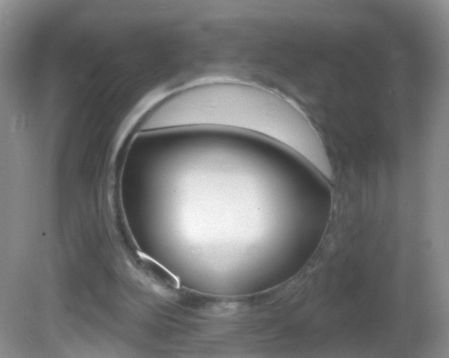 X0000082760152200701261134