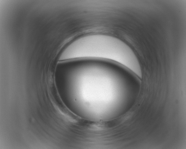 X0000082760164200701261134