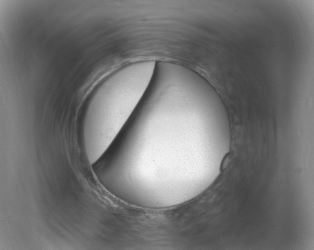 X0000082760194200701261134