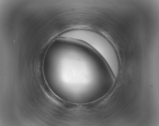 X0000082760201200701261134