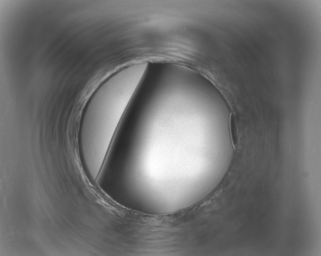 X0000082760241200701261132