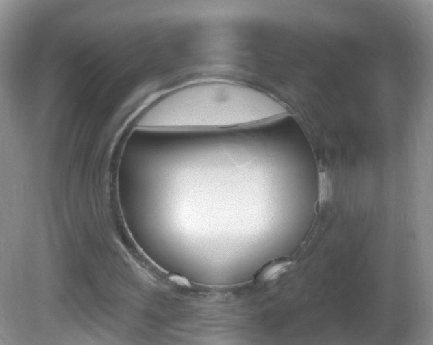 X0000082760243200701261132