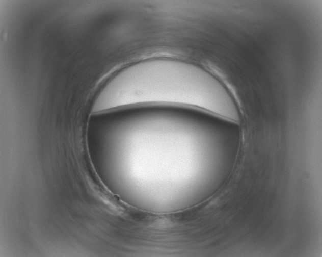 X0000082760249200701261133