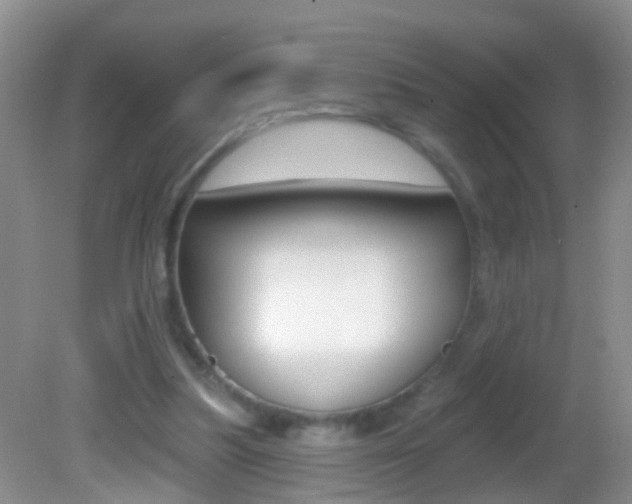 X0000082760251200701261133