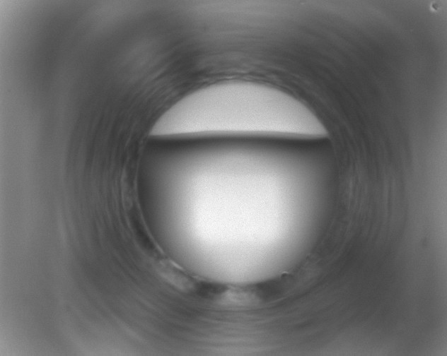 X0000082760270200701261133