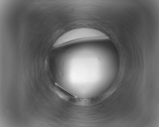 X0000082760288200701261133
