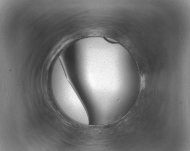 X0000082760291200701261132