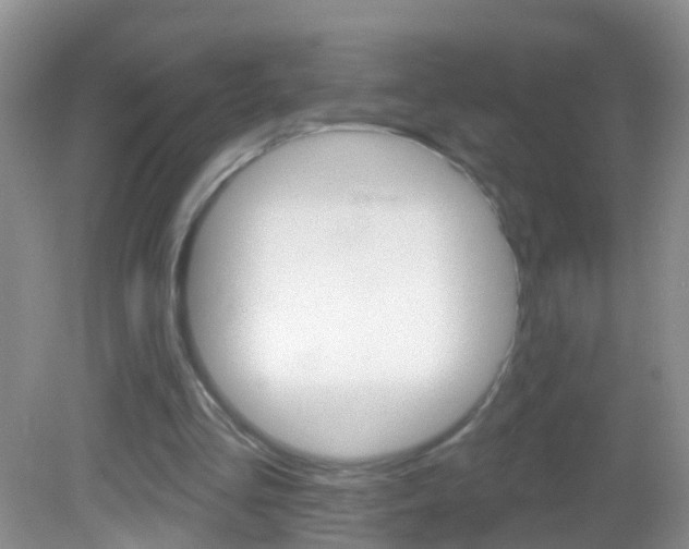 X0000082760293200701261132