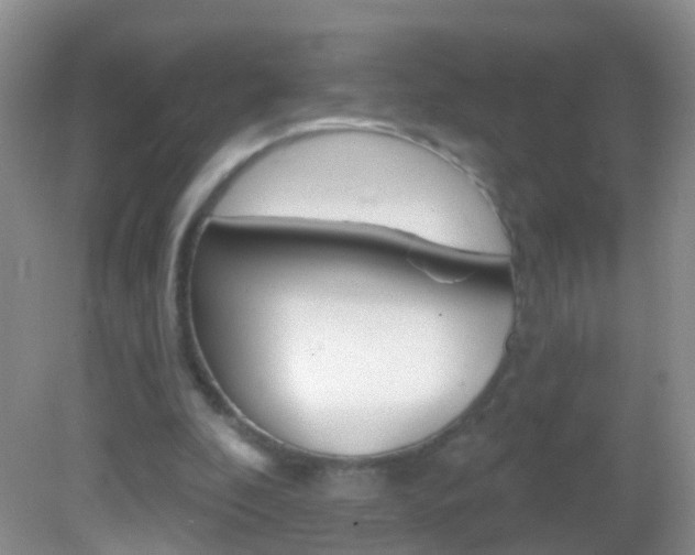 X0000082760296200701261132