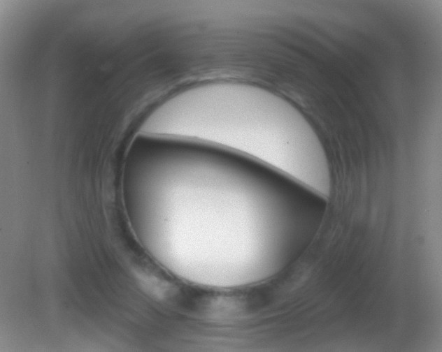 X0000082760303200701261132