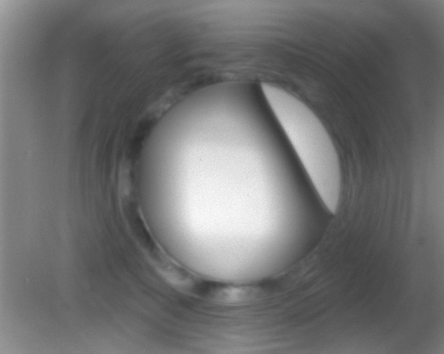 X0000082760323200701261132