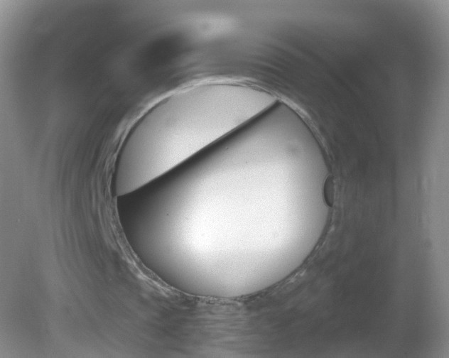 X0000082760337200701261131