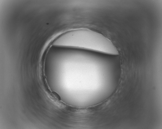 X0000082760342200701261131