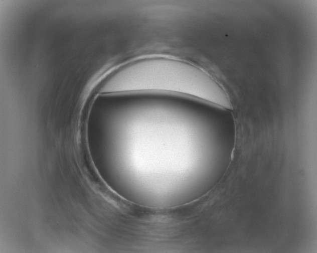 X0000082760344200701261131