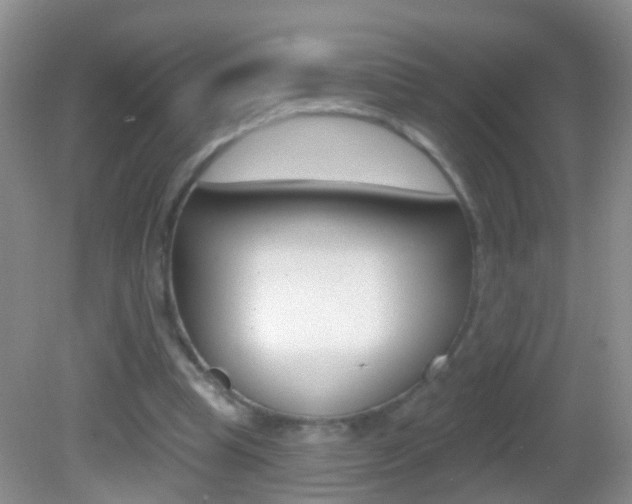 X0000082760345200701261131