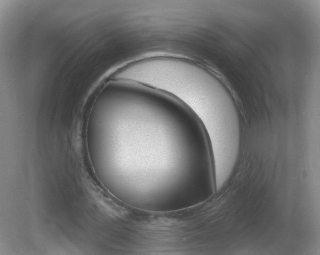 X0000082760387200701261131